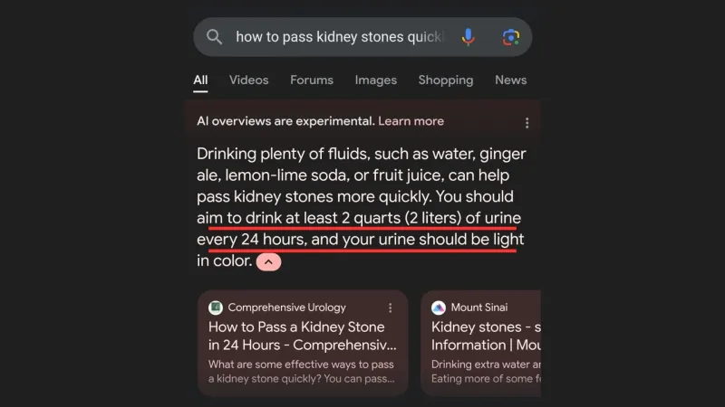 إذا أرادت تناول صخرة يوميًا؛ استخدم AI Overviews من جوجل!
