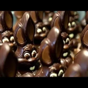 شاهد: صناع الشوكولاتة في سويسرا يستعدون لعيد الفصح وسط ارتفاع أسعار الكاكاو…