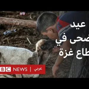 عيد الأضحى في قطاع غزة: مزارع المواشي شبه فارغة وارتفاع أسعار كبير