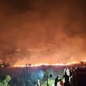 بالصّور: إخماد حريق كبير في شبعا