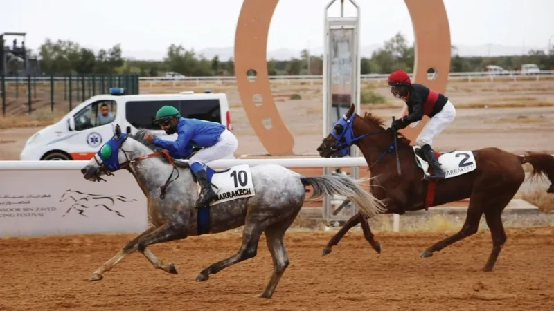 كأسا زايد وفاطمة بنت مبارك للخيول في ضيافة مراكش