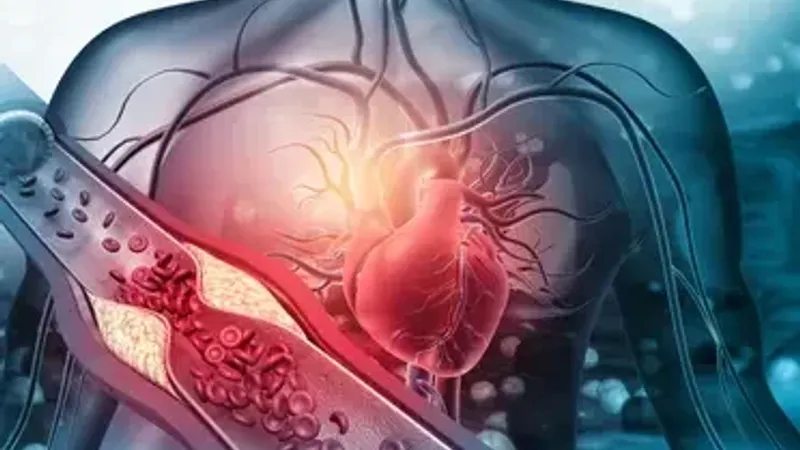 يراكم السموم ويؤثر على عضلة القلب.. تحذيرات من الباراسيتامول