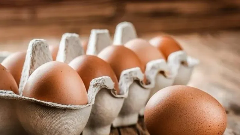 انخفاض أسعار البيض اليوم في مصر.. تراجع أكثر من 4 جنيهات