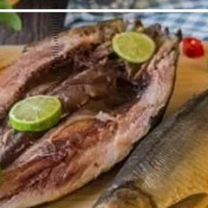 تعرف كام نوع سمك بيتملح غير الفسيخ والرنجة ؟