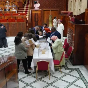 مجلس النواب يستكمل أجهزته بانتخاب رؤساء اللجان النيابية الدائمة