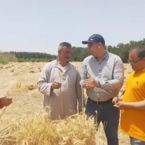 تطوير تقنيات جديدة لإنتاج محاصيل تتكيف مع ظروف البيئة الصحراوية| تفاصيل