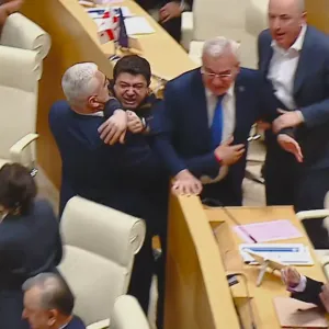 فيديو. شتائم واتهامات بين نواب المعارضة والحزب الحاكم في البرلمان الجورجي بسبب "القانون الروسي"