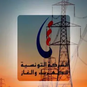 وزارة الاقتصاد تحسمها بخصوص خوصصة شبكة الكهرباء و التفويت في الستاغ