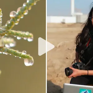 عالمة في #أبوظبي تكتشف "أعجوبة" بالصحراء قد تساعد في حل أزمة ندرة المياه
