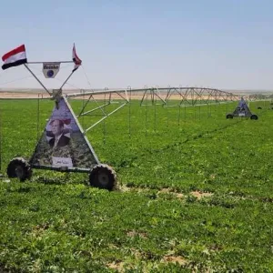«الشعب الجمهوري»: مشروع مستقبل مصر للزراعة المستدامة يوفر فرص عمل جديدة