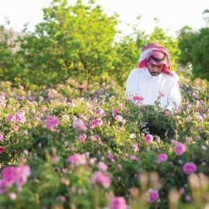 693 مليون ريال تمويلات "الصندوق الزراعي "السعودي لمشاريع في مكة المكرمة