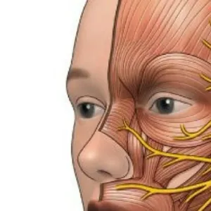 11 عرضا تدل على الإصابة بـ«شلل الوجه».. استشر الطبيب فورا في هذه الحالة