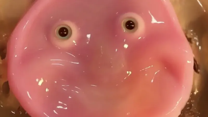 علماء يصنعون وجه روبوت مبتسماً من خلايا جلد بشرية حية