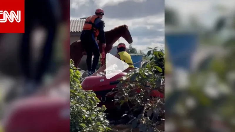 ظل عالقًا على سطح منزل لـ4 أيام.. شاهد لحظة إنقاذ حصان حاصرته مياه الفيضانات في البرازيل