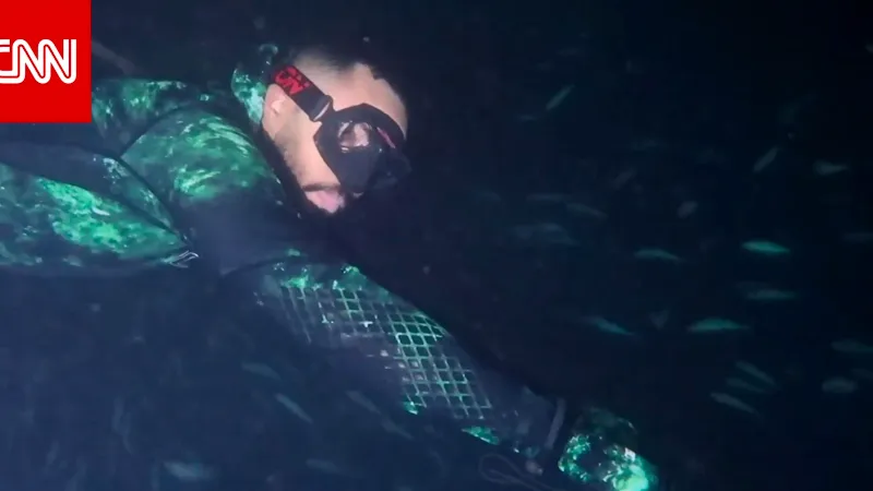 عبر "𝕏": مغامر سعوي يكشف أسرار البحر الأحمر ليلًا.. وأغرب الكائنات التي شاهدها بأعماقه