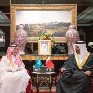 وزير المالية يلتقي وزير المالية السعودي