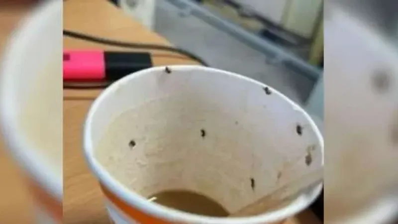 مأساة فتاة تناولت قهوة بالحشرات.. «36 ساعة بين الحياة والموت بسبب الصدمة»
