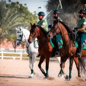 شرطة دبي تطلق فريقاً لـ «التقاط الأوتاد»