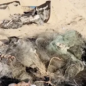 طائرات الاحتلال تقصف مراكب الصيادين في مدينة رفح