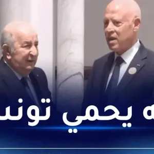 رئيس الجمهورية: تونس تتأثر بكل شيء ولن تسقط