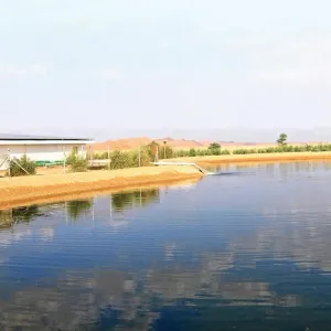 «بيئة أبوظبي» تراقب 441 بئر مياه جوفية