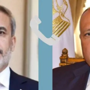 مصر وتركيا تطالبان بوقف فوري لإطلاق النار في غزة