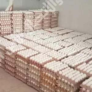 حجز 67 ألف بيضة معدّة للإحتكار بهذه الجهة