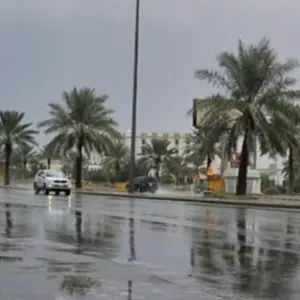 «الحصيني»: أمطار متفاوتة ونشاط للرياح خلال الـ24 ساعة المقبلة