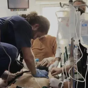 طبيب يروي تجربته عبر وجوه مرضاه "لا يمكن نسيان ما شاهدته في غزة"