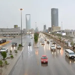 طقس المملكة الثلاثاء: أمطار رعدية ورياح مثيرة للأتربة والغبار