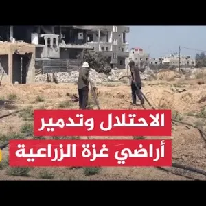 جرفت الأشجار المعمرة.. إسرائيل تدمر الأراضي الزراعية في غزة بشكل ممنهج