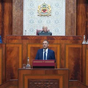 رياض مزور: مشاريع "استبدال الواردات" تحفز الاستثمار وتشغيل المغاربة