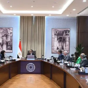 متحدث الوزراء المصري: وحدة مركزية لحصر وتنظيم الشركات المملوكة للدولة