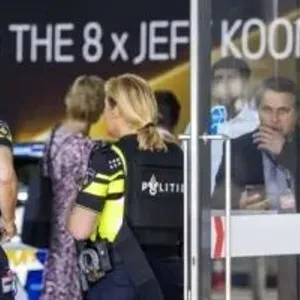 الشرطة الهولندية تستعيد ماستين مسروقتين من معرض TEFAF إحداهما بإسرائيل