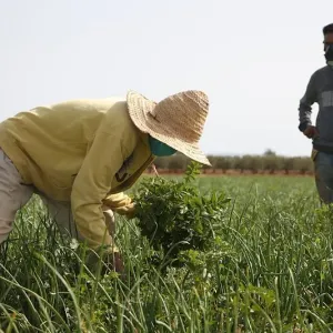 دراسة: التحول الهيكلي بطيء في المغرب