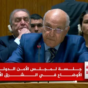 وزير خارجية #الجزائر أمام مجلس الأمن: الفلسطينيون لهم الحق التاريخي في تأسيس دولتهم #حرب_غزة #الأخبار