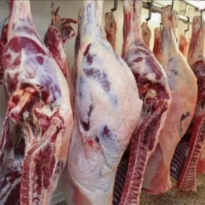الزراعة العراقية تطلق حزمة قرارات لتخفيض أسعار اللحوم