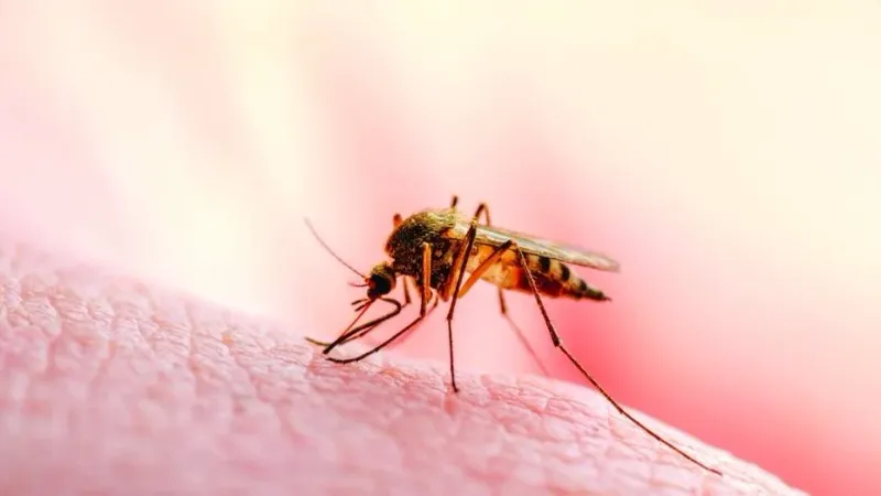 أستراليا تُقدّم 30 مليون دولار أسترالي للقضاء على الملاريا