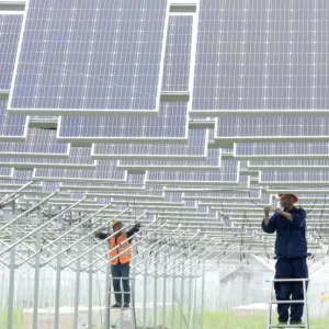 الرئيس التنفيذي لـ "سيمنز" : تحول الطاقة دون الصين "مستحيل"