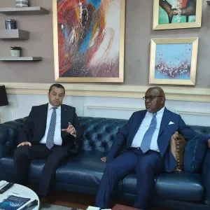 وزير الطاقة يتحادث مع نظيره الكونغولي ببرازافيل
