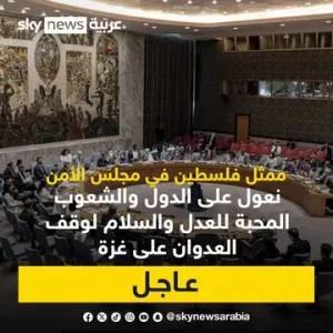 ممثل فلسطين في مجلس الأمن: منح فلسطين العضوية الكاملة في الأمم المتحدة سيرفع الظلم عن الفلسطينيين وسيدعم الاستقرار في المنطقة   #سوشال_سكاي