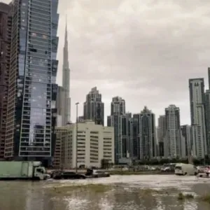 فيديو للحظة إنقاذ قطة عالقة بمياه الأمطار في دبي يثير تفاعلا