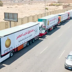 تحمل 1840 طن مساعدات.. 115 شاحنة مصرية جديدة في طريقها لغزة