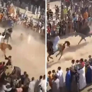 شاهد.. سقوط شاب من على ظهر حصان أثناء سباق في مصر