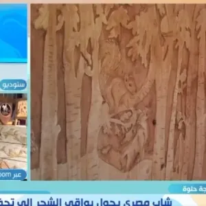 تحف فنية من بقايا الأشجار.. قصة إبداع مهندس مصري في أمريكا الجنوبية