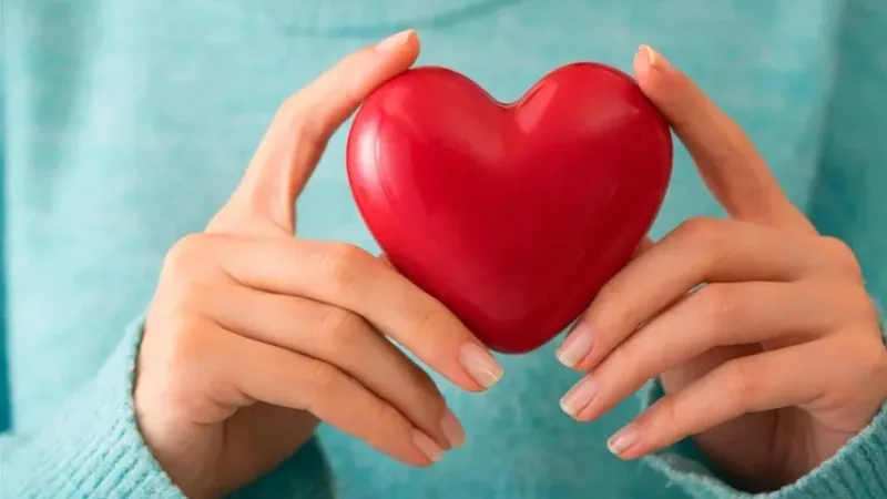 الاستروجين سبب مخاطر النوبة القلبية بعد سن اليأس