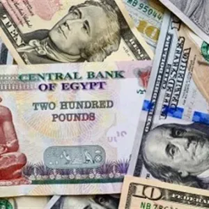 سعر الدولار رسميا في مصر يوم الإثنين