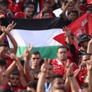لماذا غادر جمهور الأهلي المصري لـ"برج العرب" بعد 5 دقائق من انطلاق مباراة فريقهم ضد فاركو؟ (فيديو)