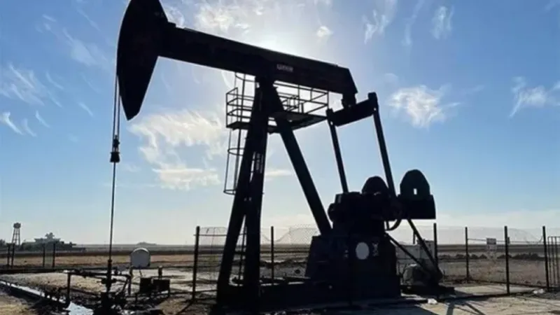 النفط يصعد 14 %.. والإنتاج إلى 116 مليون برميل