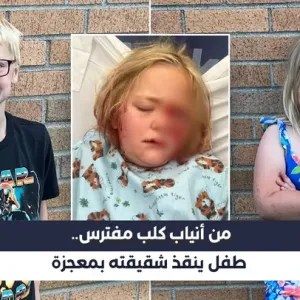 بالفيديو | البطل الصغير.. طفل في الثامنة ينقذ شقيقته من أنياب كلب متوحش